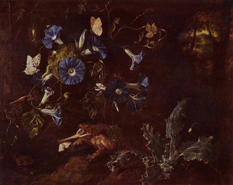 SCHRIECK, Otto Marseus van Blaue Winde, Krote und Insekten